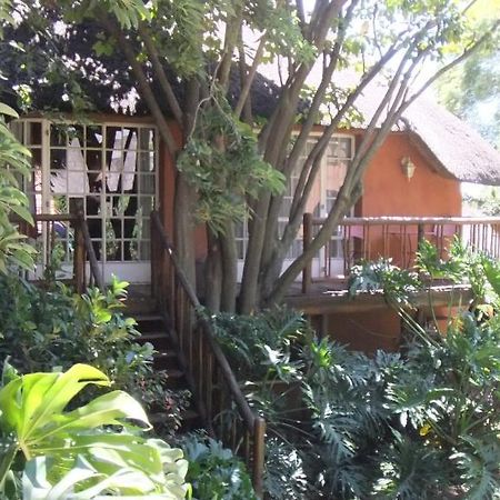 Treetops & Treats Guest House 프레토리아 외부 사진