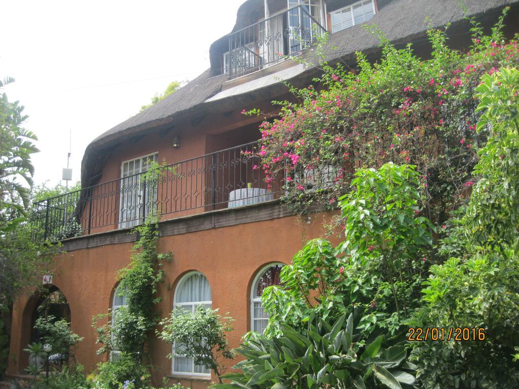 Treetops & Treats Guest House 프레토리아 외부 사진