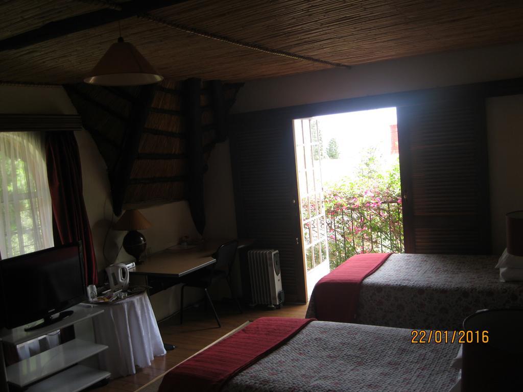 Treetops & Treats Guest House 프레토리아 외부 사진