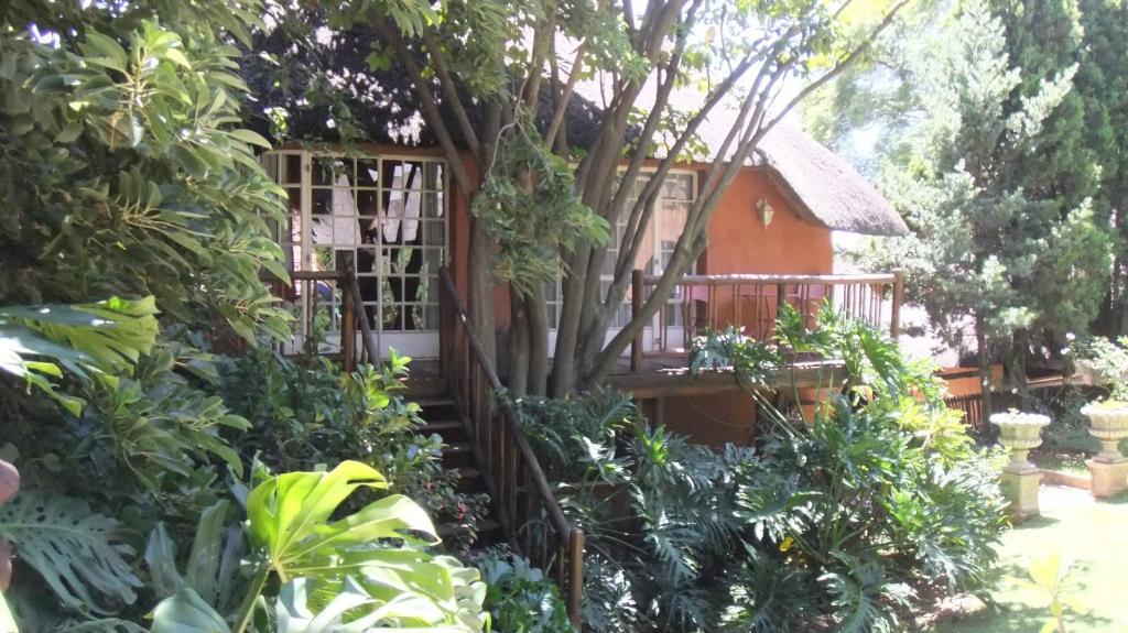 Treetops & Treats Guest House 프레토리아 외부 사진