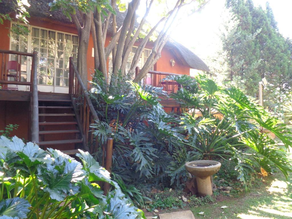 Treetops & Treats Guest House 프레토리아 외부 사진
